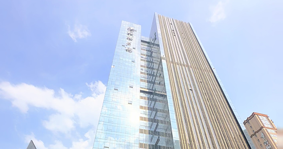 国内中文域名信息查询网站官网