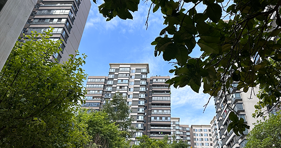 国内域名查询机构