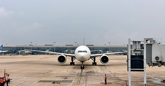 痛骂昨天国内的域名注册查询