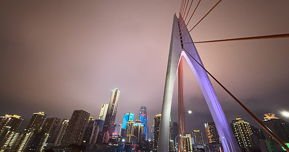 国内pro域名查询