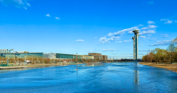 国内域名信息查询