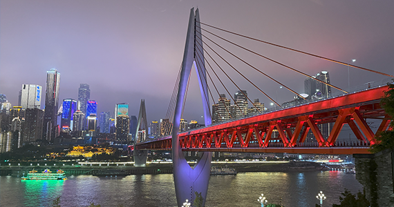 国内net域名信息查询