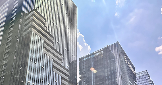 国内中文域名信息查询平台