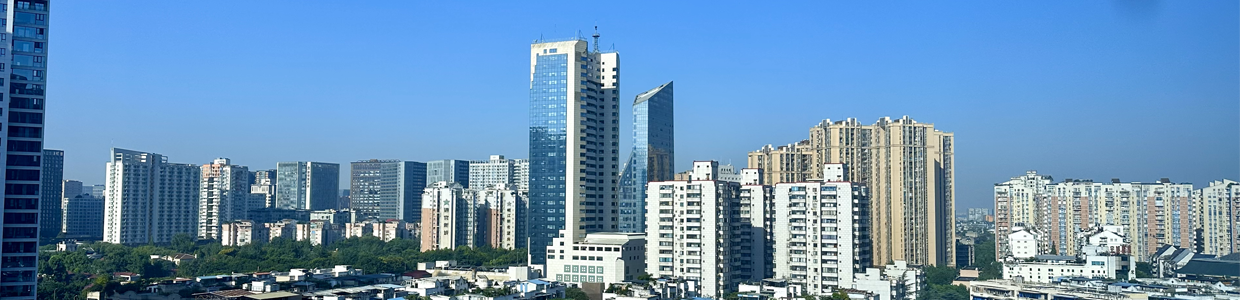 国内域名查询网